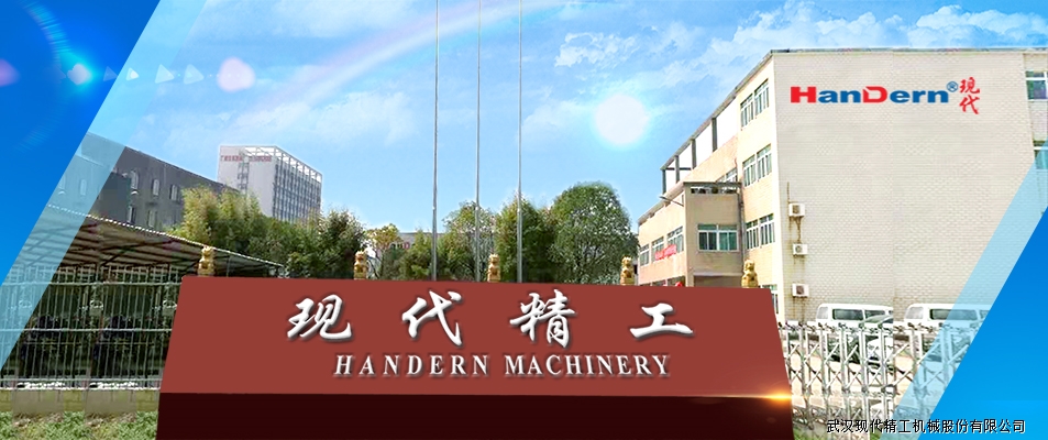 2023德国隐形冠军企业武汉行投资合作交流会举行